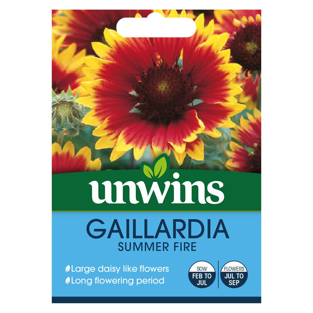 5051618010849 1 Gaillardia Summer Fire Seeds.jpg